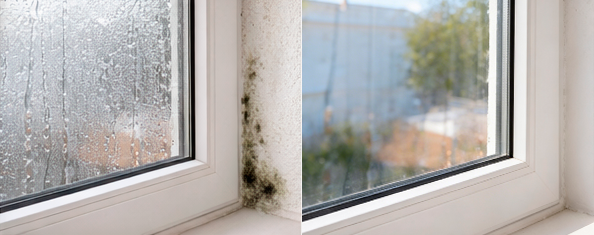 antes y después con y sin moho