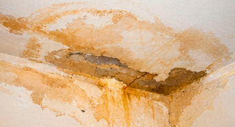 Filtración humedad vivienda